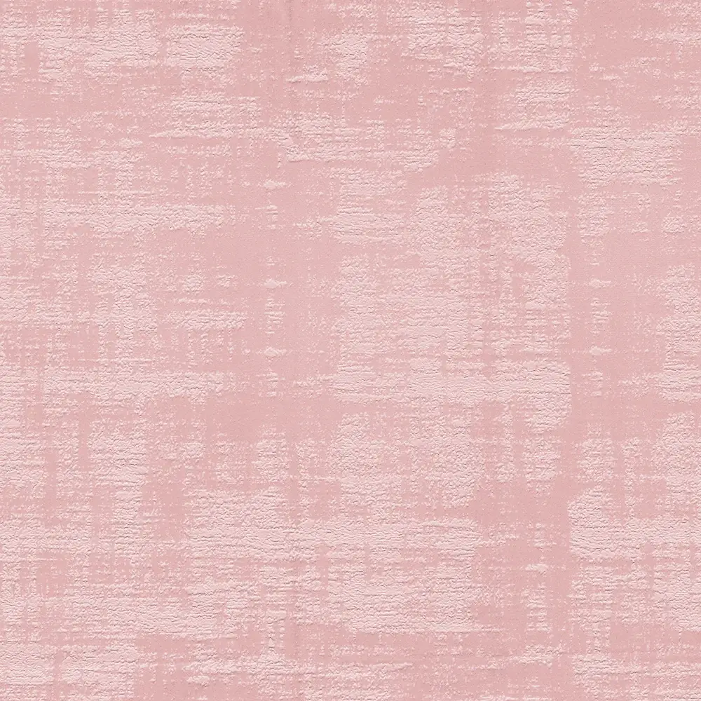 VELVET DAY DREAM PLUS WR